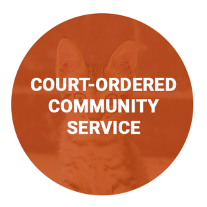 court-service