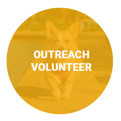 outreach-volunteer