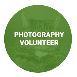 photography-volunteer