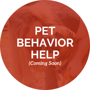 Pet Behavior Help